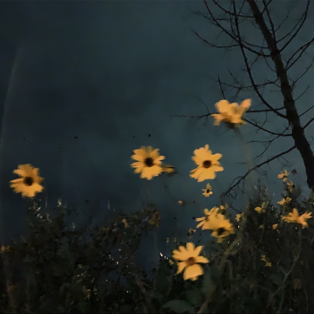 Meet your Posher, Dayana